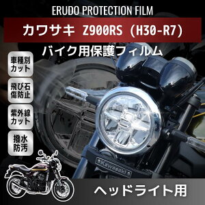 _N[|^KAWASAKI JTL Z900RS (H30-R7) wbhCgveNVtB IׂJ[@OJbg@oCN@2