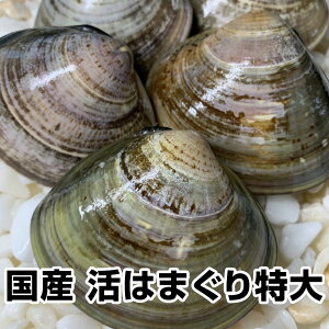 はまぐり 1kgの人気商品 通販 価格比較 価格 Com