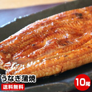 Ԍ |Cgő+14{ vGg[yΕ Mtg av[g j Ε N Nzӂ|IȂ10VĂ yp̉N̓ Zbg  1 