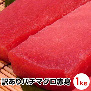 Ԍ |Cgő+16{ vGg[yΕ Mtg av[g j Ε N Nz 󂠂o`Ԑg1kgyLO܁zǎI130kgI܂ }O 