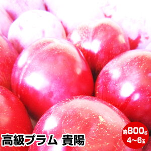 高級 プラムの人気商品 通販 価格比較 価格 Com 高級 プラムの人気商品 通販 価格比較 価格 Com