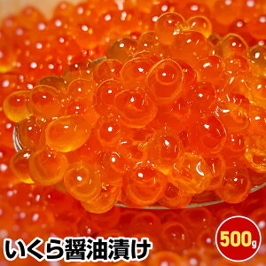 Ԍ |Cg+5{ vGg[yΕ Mtg av[g j Ε N NzݖЂ500g CN  Zbg  1 50 60 70  