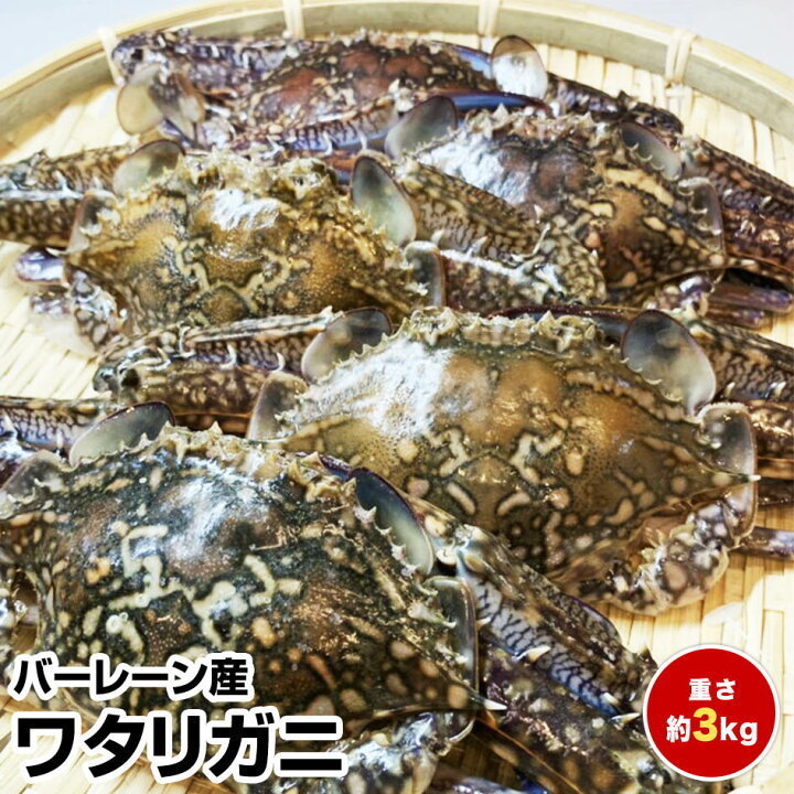 楽天市場 お中元 御中元 暑中見舞い 残暑見舞い お誕生日 ギフト バーレーン産ワタリガニ３ｋｇ お試し 保存食 お買得 まとめ買い お取り寄せ お取り寄せグルメ 駿河湾沼津ｏunami物産 楽天市場店