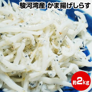 Ԍ |Cgő+14{ vGg[yΕ Mtg av[g j Ε N Nzx͘pY ォܗg炷2kg ۑH  ܂Ƃߔ  