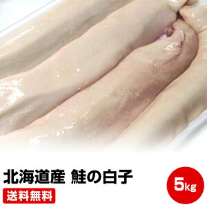 Ԍ |Cg+7{ vGg[yΕ Mtg av[g j Ε N NzyzkCY ̔q5kgyMtg 蕨ɁzNxQI Ⓚi 