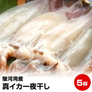 Gg[Ń|Cgő+14{ ԌyΕ Mtg av[g j Ε N Nzx͘pY^CJ銱()5t(1t120g)炩ĔI  