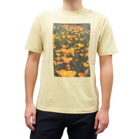 BANKS バンクスZAK BUSH FOLWERS TEE　[LIGHT LEMON](半袖 Tシャツ メンズ レディース ユニセックス サーフ系 サーフィン オーガニックコットン イエロー 黄色 カットソー)