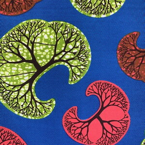 y50cmPʁzAtJ z AtJvgz n u[h JbgNX nhCh pb`[N }XN GRobO |ޗ _X  ߑ ʉʊwɁ@ԎO{oIou n