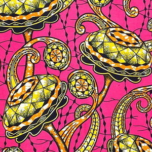 y50cmPʁzAtJ z AtJvgz n u[h JbgNX nhCh pb`[N }XN GRobO |ޗ _X  ߑ ʉʊwɁ@_C炭 sN AP