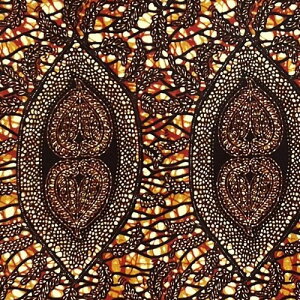 y50cmPʁzAtJ z AtJvgz n u[h JbgNX nhCh pb`[N }XN GRobO |ޗ _X  ߑ ʉʊwɁ@]EV Eq 