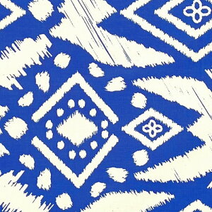 y50cmPʁzAtJ z AtJvgz n u[h JbgNX nhCh pb`[N }XN GRobO |ޗ _X  ߑ ʉʊwɁ@R  啿 u[ AC