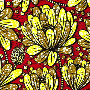 AtJvg z n 50cmP AP-13255 傫ĉ؂₩ȓ썑 ԐFn AtJ z u[h JbgNX nhCh pb`[N GRobO |ޗ _X  ߑ ʉʊw