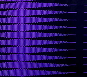 AtJvg z n 50cmP AP-13292 GN}y ڂ̍o   AtJ z u[h JbgNX nhCh pb`[N GRobO |ޗ _X  ߑ ʉʊw