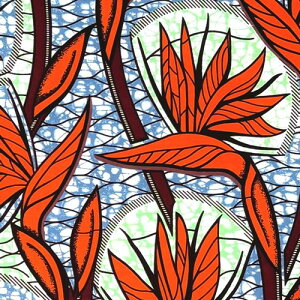 AtJvg z n 50cmP AP-13491 Ɋy IW O[ ~gO[ AtJ z u[h JbgNX nhCh pb`[N GRobO |ޗ _X  ߑ