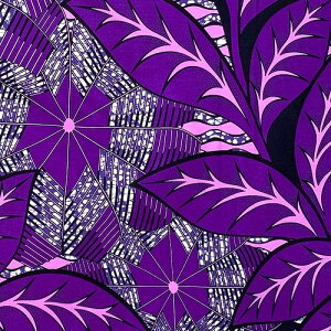 AtJvg z n 50cmP AP-13583 ̓썑傫ȗt  AtJ z u[h JbgNX nhCh pb`[N GRobO |ޗ _X  ߑ ʉʊw