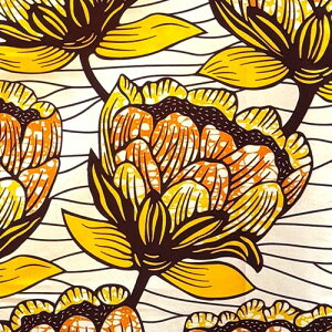 AtJvg z n 50cmP AP-13644 傫ȉԂō炢 IW F AC{[n@AtJ z u[h JbgNX nhCh pb`[N GRobO |ޗ _