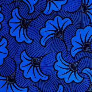 AtJvg z n 50cmP AP-13759@̃u[P  u[ @AtJ z u[h JbgNX nhCh pb`[N GRobO |ޗ _X  ߑ ʉ