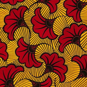 AtJvg z n 50cmP AP-13761@̃u[P  RFn@AtJ z u[h JbgNX nhCh pb`[N GRobO |ޗ _X  ߑ ʉʊw