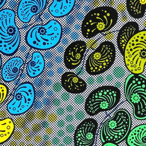 AtJvg z n 50cmP AP-13805@t[Y ou JCC LC u[ O[@AtJ z u[h JbgNX nhCh pb`[N GRobO |ޗ 