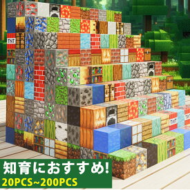 マインクラフト マグネットブロック 磁石ブロック ランダム ブロック 知育玩具 子供 組み立 DIY 積み木 男の子 女の子 室内遊び マインクラフト 磁石ブロック おもちゃ ブロック 玩具 知育玩具 誕生日 プレゼント ギフト 入学祝い 互換品