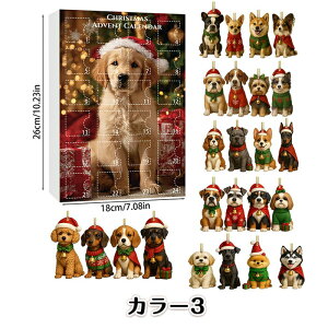  AhxgJ_[ 2025 NX}XJ_[{bNX NX}XJEg_EJ_[ 2DANLbg D tBMA I[ig 킢 CeA  ObY N