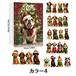  AhxgJ_[ 2025 NX}XJ_[{bNX NX}XJEg_EJ_[ 2DANLbg D tBMA I[ig 킢 CeA  ObY N