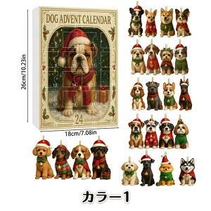  AhxgJ_[ 2025 NX}XJ_[{bNX NX}XJEg_EJ_[ 2DANLbg D tBMA I[ig 킢 CeA  ObY N