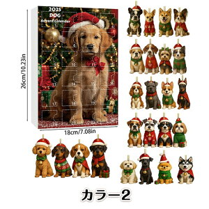  AhxgJ_[ 2025 NX}XJ_[{bNX NX}XJEg_EJ_[ 2DANLbg D tBMA I[ig 킢 CeA  ObY N