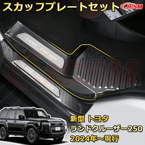 �y�V�i�����z�����N��250 LC250 �T�C�h�h�A�������O��8pcs �X�J�b�t�v���[�g �h�A�X�e�b�v�K�[�h ���Q�b�W�G���g���[�K�[�h �ԗp�v���e�N�^�[ �O�������K�[�j�b�V�� �J�X�^�� �J�[�p�[�c ����