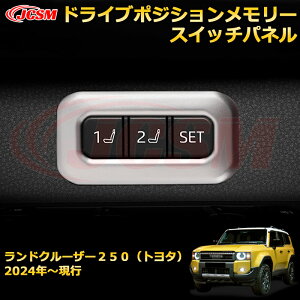 �����N��250 LC250 �^�]�ȃ|�W�V�����������[�X�C�b�`�p�l�� �X�C�b�`�J�o�[ �v���e�N�^�[ �h���X�A�b�v �ԗp�K�[�j�b�V�� �A�N�Z�T���[ ���� �J�[�p�[�c �J�X�^�� �p�[�c ����h�~ �L�Y�h�~ 