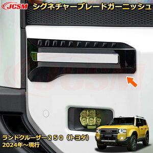 N250 LC250 VOl`[u[hK[jbViLEDł͂܂j hXAbv ԗpK[jbV ANZT[  J[p[c JX^ p[c h~ LYh~ KLYB 