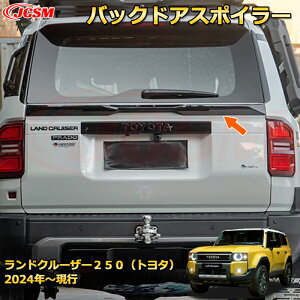 N250 LC250 obNhAX|C[ AECO GAp[c hXAbv ԗpK[jbV ANZT[  J[p[c JX^ p[c h~ LYh~ KLYB h