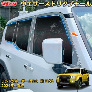 N250 LC250 EFU[Xgbv[ TCh[  EChEg hXAbv ԗpK[jbV ANZT[  J[p[c JX^ p[c h~ LYh~ KL