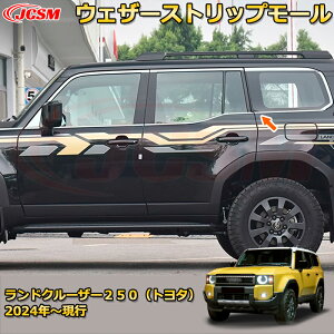 N250 LC250 EFU[Xgbv[ TCh[  EChEg hXAbv ԗpK[jbV ANZT[  J[p[c JX^ p[c h~ LYh~ KL