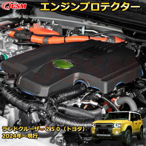 N250 LC250 GWveN^[ GW[Jo[ wbh ՉՔM hXAbv ԗpK[jbV ANZT[  J[p[c JX^ p[c h~ LYh~