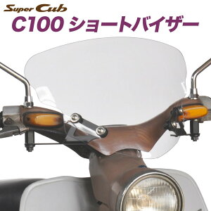 z_ X[p[Ju C100p AEgX^fBO V[goCU[ SV-C100 NA C100 C102 C105 CD105 CA100 h h { JX^p[c
