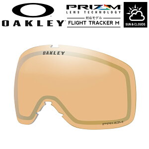  Xm[S[O XyAY I[N[ OAKLEY PRIZM SAGE GOLD IRIDIUM `܂ `܂ FLIGHT TRACKER M tCggbJ[  vY Y Xm[{[h XL[ 22%off
