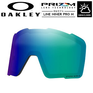  Xm[S[O XyAY I[N[ OAKLEY PRIZM ARGON IRIDIUM `܂ LINE MINER PRO M C}Ci[ v  vY VO Y Xm[{[h XL[ AOO7137LS-00000300 15%off