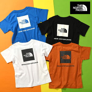 lR|XI m[XtFCX LbY TVc THE NORTH FACE q obNvg S/S Back Square Logo Tee V[gX[u obN XNGA S eB[ NTT32538 2025tĐV