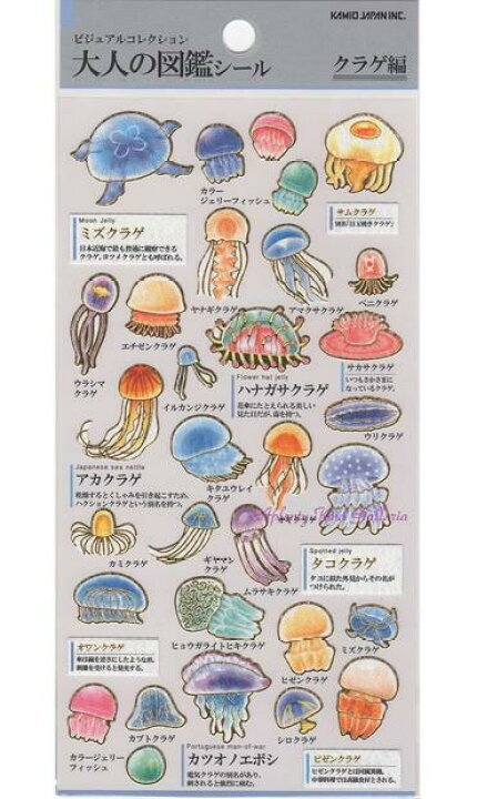 楽天市場 Vol 3 大人の図鑑シール第3弾 クラゲ編 No 金箔加工シール ミズクラゲタコクラゲくらげの種類海月水母 3cmメール便ok アウトドアライフ 楽天市場 Vol 3 大人の図鑑シール第3弾 クラゲ編 No 金箔加工シール ミズクラゲタコクラゲくらげの種類海月水母 3cmメール便ok アウトドアライフ