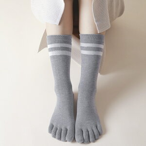 ܖ{w\bNX fB[X  tH~ ʔN 5{wC   Jt 5{w\bNX  n ꂭ N[\bNX wl ܖ{wC X|[c\bNX AEghA