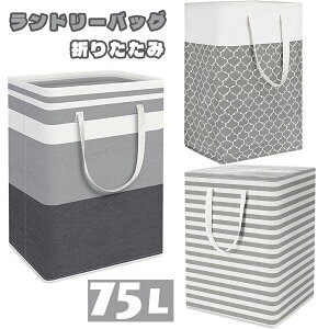 yzh[obO 75L e h[oXPbg 󂩂  obO^Cv h[ obO ܂肽 RpNg  [ 󕨓 ȃXy[X 