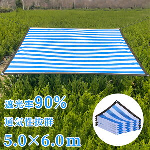 y5mx6mzTVF[h Ђ悯 VF[h  ډB ڂ O ȃGl ߖ ^[v AEghA   K[f TVF[h x_ 