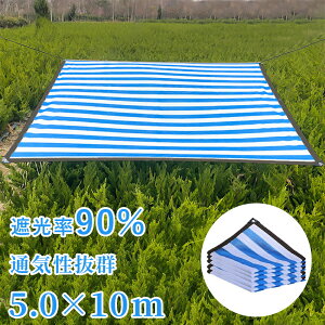 y5mx10mzTVF[h Ђ悯 VF[h  ډB ڂ O ȃGl ߖ ^[v AEghA   K[f TVF[h x_ 