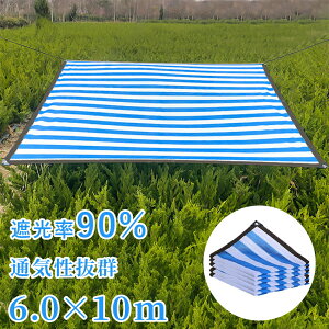 y6mx10mzTVF[h Ђ悯 VF[h  ډB ڂ O ȃGl ߖ ^[v AEghA   K[f TVF[h x_ 