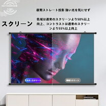 楽天市場】壁 収納 引き戸（プロジェクタースクリーン｜プロジェクター 