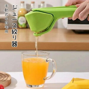 蓮p W[Xi i t[ci nhW[T[ ʏ` i ڂ 蓮 yP[Xzt[cڂ ~jvX 蓮W[T[