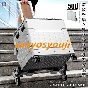 Ki~ł L[ 4 N[U[ ܂ݎ J[g 50L y É݌v {bNX Rei Lv s