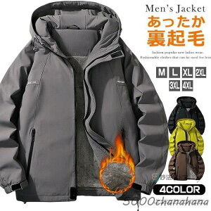 }Eep[J[ Y N h gbLO EChu[J[ StEFA {Au]  h oR oREFA AEghA p[J