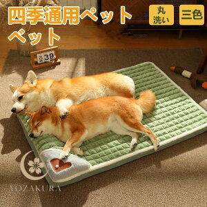 Ⴍo₷ pxbh ybg xbh  ybgpi L GKg g NbV }bg h ̃xbh   Jo[O\